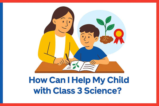 How Can I Help My Child with Class 3 Science?