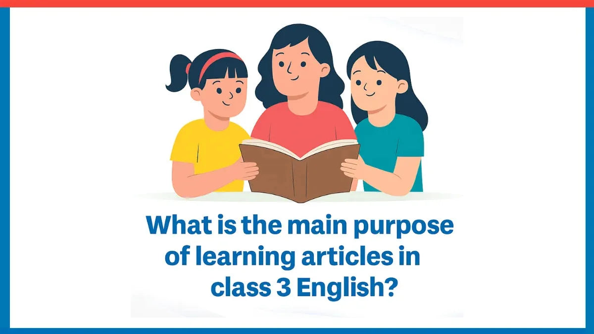What is the Main Purpose of Learning Articles in Class 3 English?