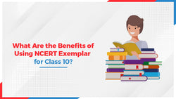 What are the benefits of Using NCERT Exemplar for Class 10?