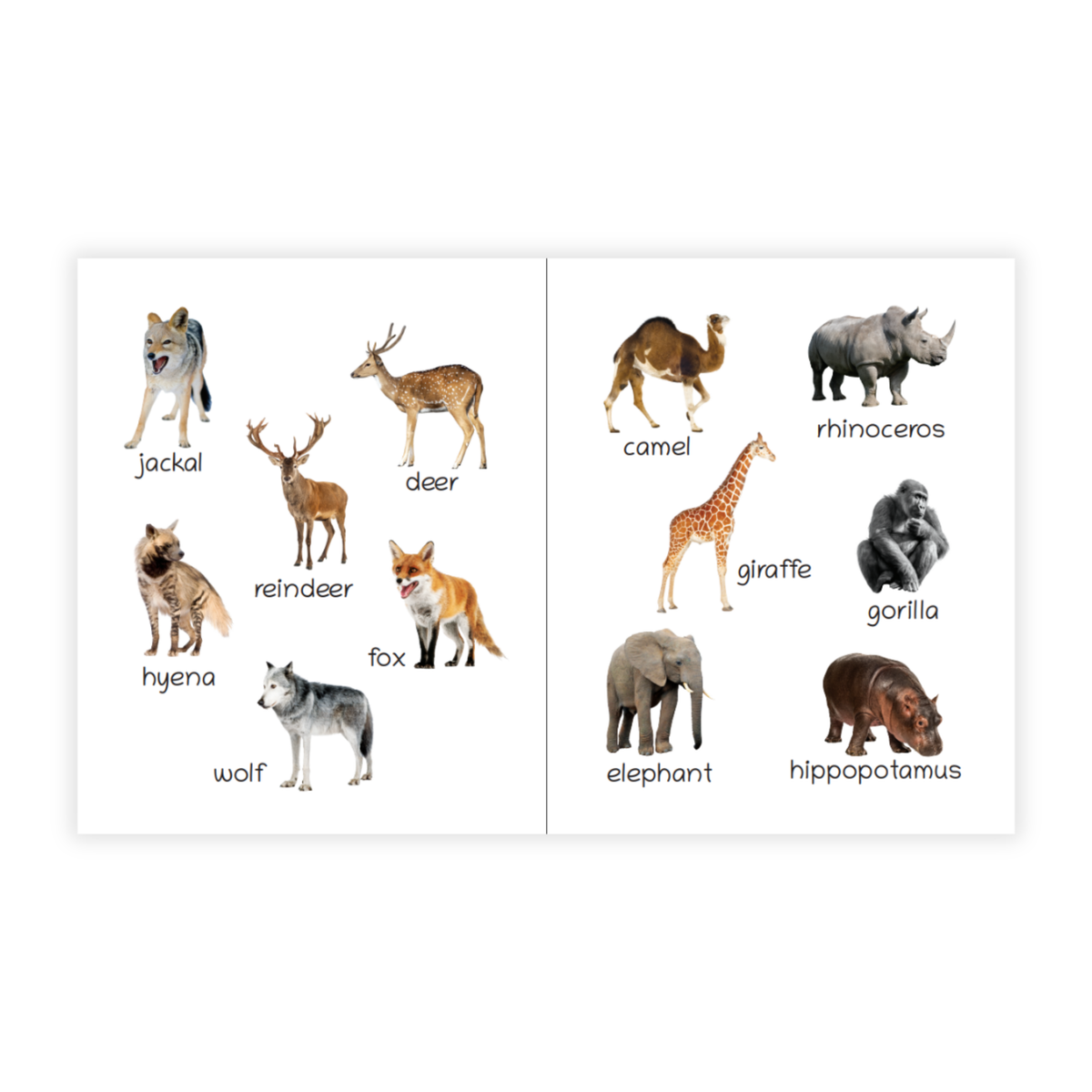 Lil Legends Picture Book for Kids Age 1+ Years - Learn About Wild Animals | Early Learning Illustrated Book with Colourful Pictures | First Words Book for Toddlers & Preschoolers