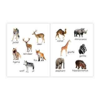 Lil Legends Picture Book for Kids Age 1+ Years - Learn About Wild Animals | Early Learning Illustrated Book with Colourful Pictures | First Words Book for Toddlers & Preschoolers