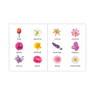 Lil Legends Picture Book for Kids Age 1+ Years - Learn About Flowers | Early Learning Illustrated Book with Colourful Pictures | First Words Book for Toddlers & Preschoolers