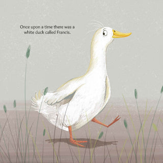 Lil Legends A Duck Called Francis Story Boardbook for Kids | A Story About Staying Clean | Life Lesson Book | Hygiene, Responsibility & Healthy Habits | Illustrated | Age 4–8 Years