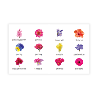 Lil Legends Picture Book for Kids Age 1+ Years - Learn About Flowers | Early Learning Illustrated Book with Colourful Pictures | First Words Book for Toddlers & Preschoolers