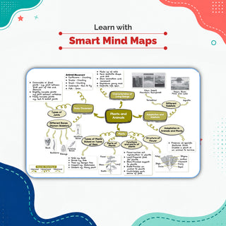 One For All Olympiads Class 6 Science Prep-Guide Book | Chapter-wise Previous Years' Solved Papers | Questions for SOF NSO & Other Olympiad Exams 2026 | With Sample Practice Papers & Oswaal.AI