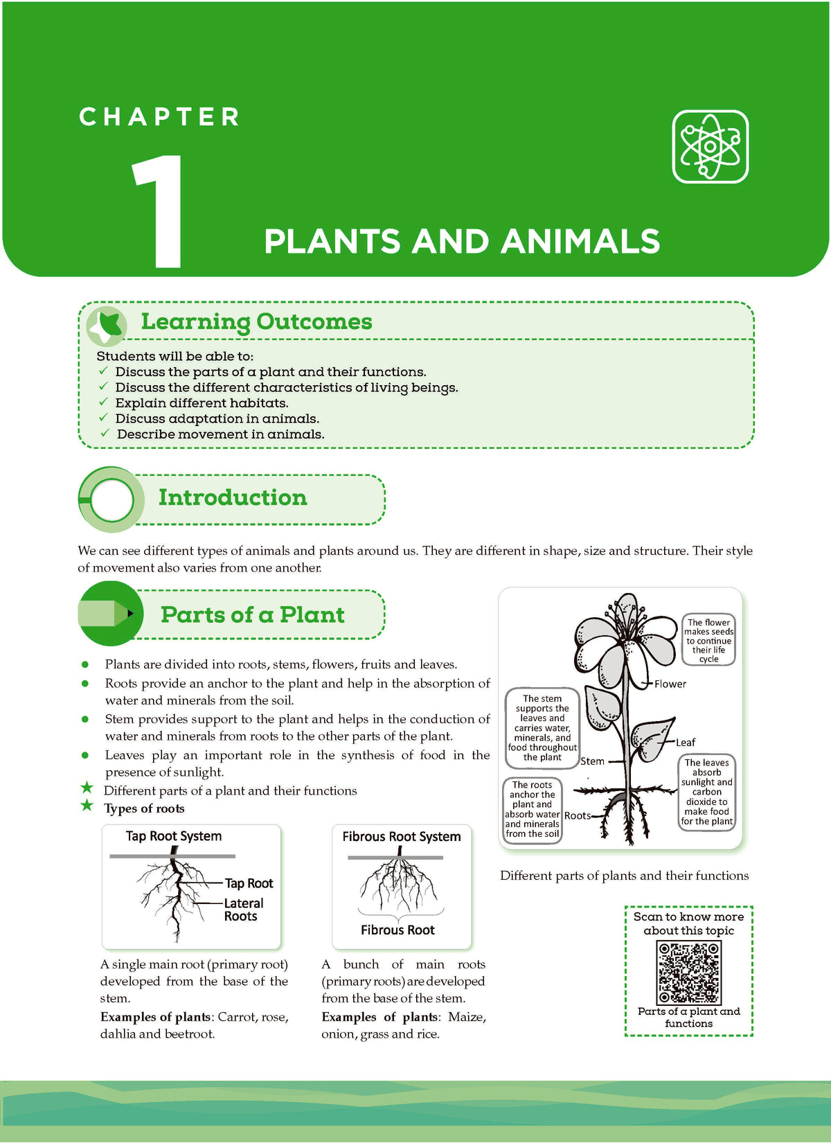 One For All Olympiads Class 6 Science Prep-Guide | Chapter-wise Previous Years' Solved Papers+ Workbook (Set of 2 Books) | Questions for SOF NSO & Other Olympiad Exams 2026