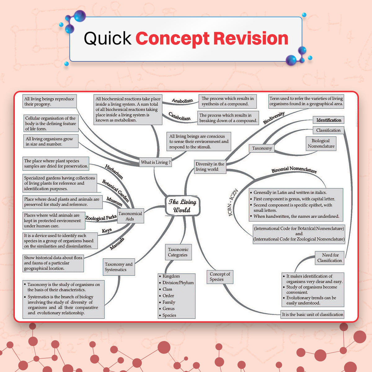 NEET (UG) 39 Years' Chapter-wise & Topic-wise Question Bank-Biology (1988-2026) | 3rd May and 21 June 2026 Paper Fully Solved | With Revision Notes, Mind Maps & Mnemonics | Oswaal AI