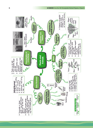 One For All Olympiads Class 6 Science Prep-Guide | Chapter-wise Previous Years' Solved Papers+ Workbook (Set of 2 Books) | Questions for SOF NSO & Other Olympiad Exams 2026