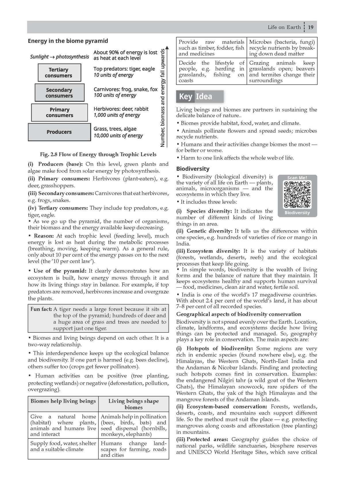 Oswaal CBSE NCERT Class 9 Textbook Solutions Social Science-2 (Understanding Society India and Beyond) (Latest NCERT) | Revision Notes, Mind Maps, Solved Intext & Exercise Questions | Oswaal AI