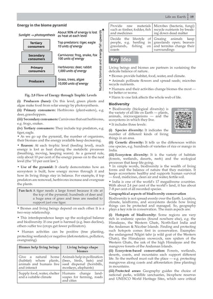 Oswaal CBSE NCERT Class 9 Textbook Solutions Social Science-2 (Understanding Society India and Beyond) (Latest NCERT) | Revision Notes, Mind Maps, Solved Intext & Exercise Questions | Oswaal AI