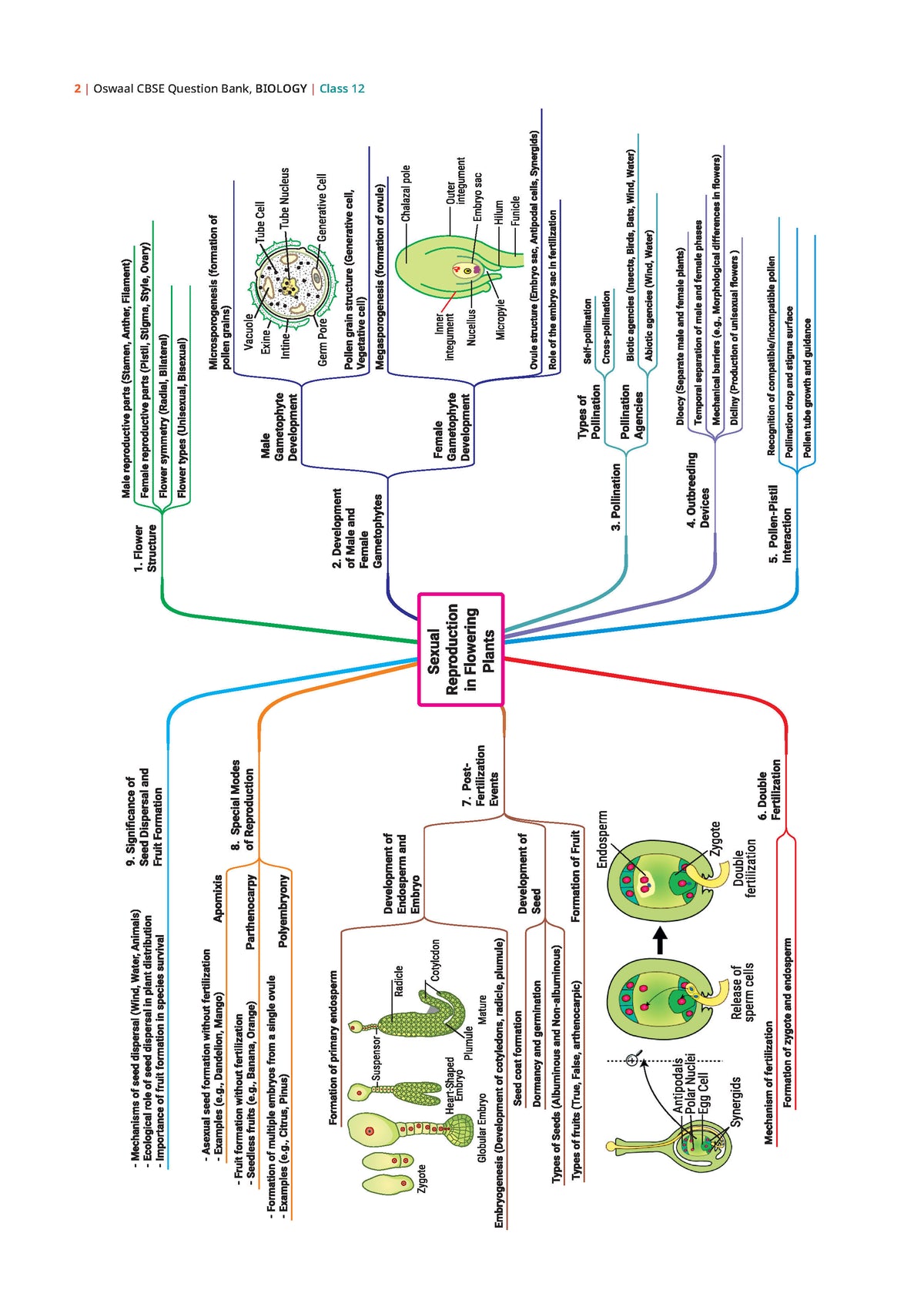 CBSE Class 12 Biology Question Bank | Chapter & Topic-wise Solved Papers (2017-2026) | Based on Latest Syllabus (April 2026) | Includes 2026 Papers | For 2027 Exam