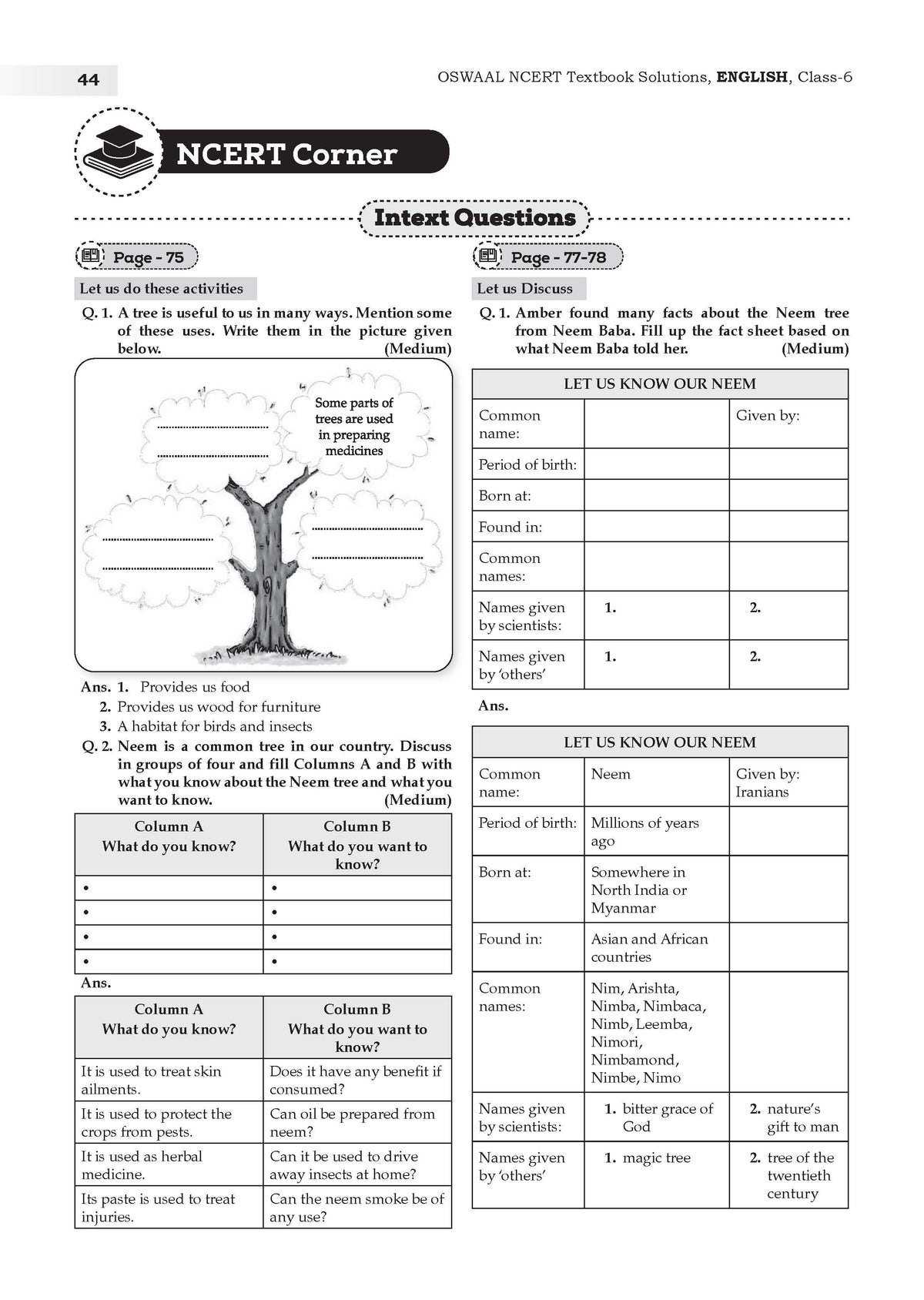 NCERT Textbook Solutions English Class 6 | For CBSE 2026-27 Exam | Based on Latest NCERT Poorvi | With Complete Solutions & Subjective Questions for Practice