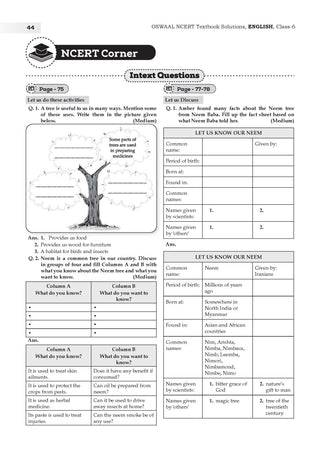 NCERT Textbook Solutions English Class 6 | For CBSE 2025–26 Exam | Based on Latest NCERT Poorvi | With Complete Solutions & Subjective Questions for Practice