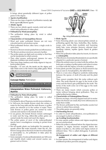 Oswaal CBSE & NCERT One for All Class 12 Biology (For 2027 Exam)