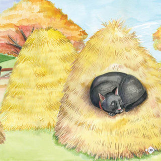 Austin Macauley, Lil legends, A Life Lessons for Kids, A Cat called Cookie