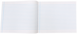 CBSE Class 12 Exam Practice Answer Booklet (Pack of 10) | Official Horizontal Format, 22x27.5 cm | 42 Single Line Ruled Pages | Ideal for Class 12 Board Exams & Pre-Boards Preparation