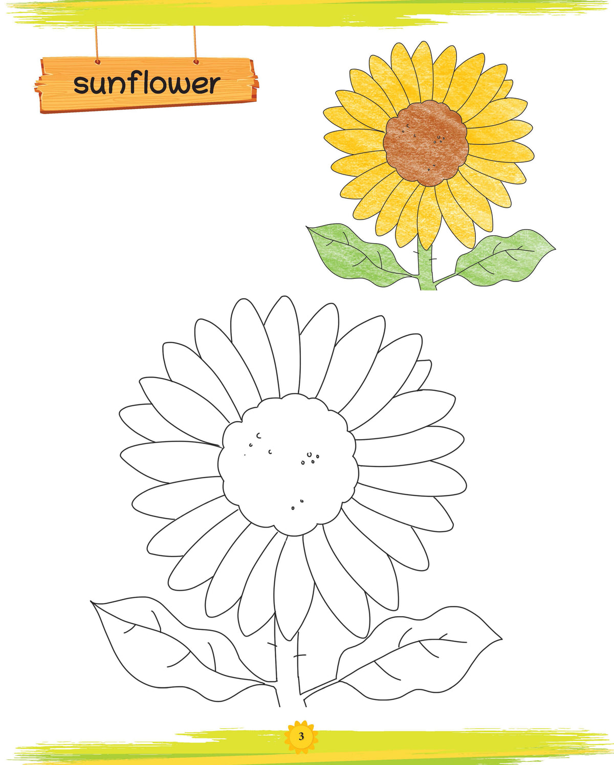 Lil Legends Book of Copy Colouring for kids,To Learn About Flowers, Age 3 +Â 