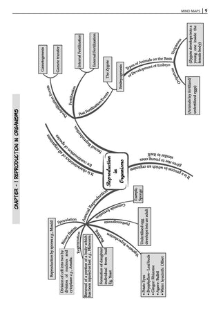 NCERT Exemplar (Problems - Solutions) Class 12 Biology Book For Latest Board Exam