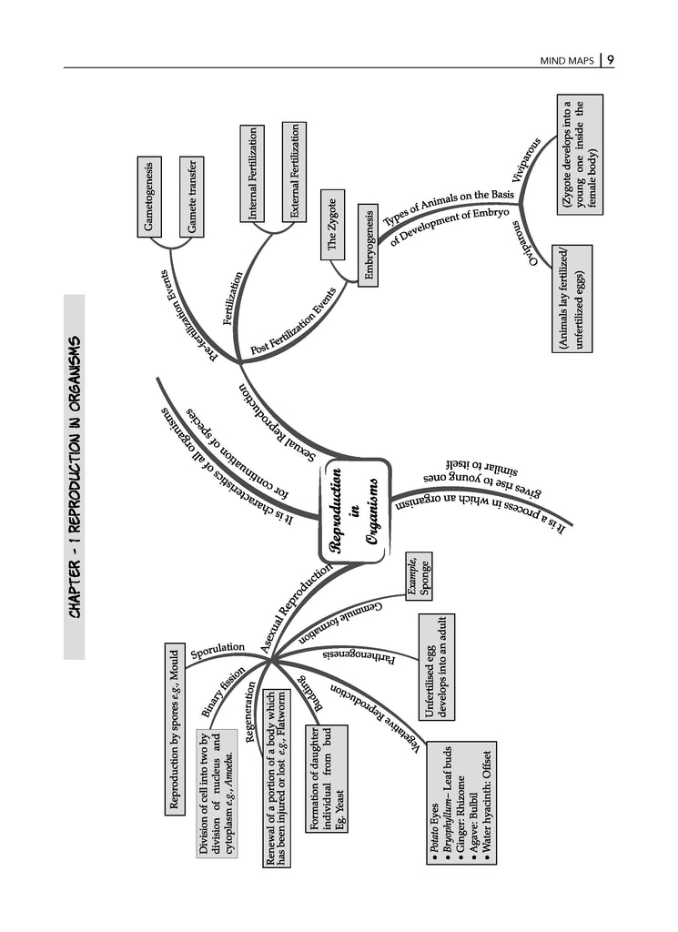 NCERT Exemplar (Problems - Solutions) Class 12 Biology Book For Latest Board Exam
