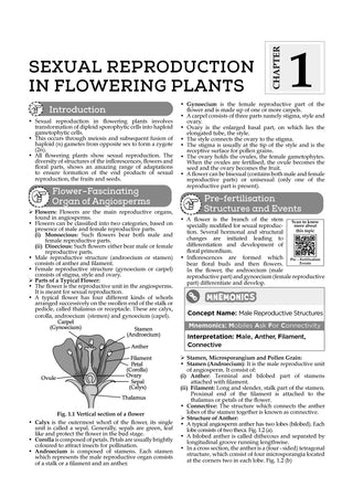 NCERT Textbook Solutions Class 12 Biology | For Latest Exam