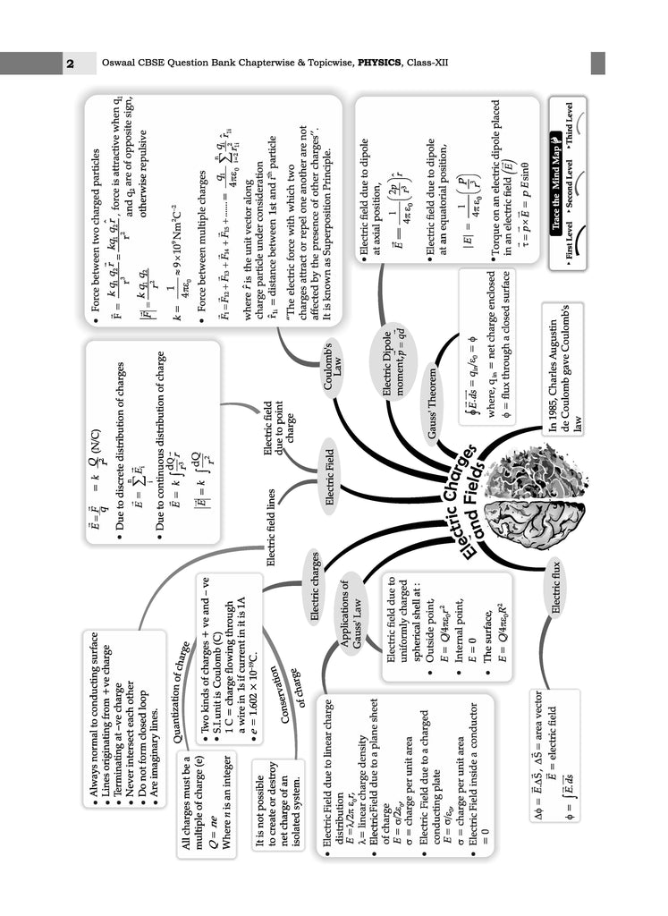 CBSE Question Bank Class 12 Set of 4 Books | English Core | Physics | Chemistry | Biology | Chapterwise Topicwise Solved Papers | For 2025 Board Exams