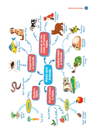 One For All Olympiads Workbook Class 3 Science | Questions for SOF NSO & Other Olympiad Exams 2026 |With Sample Practice Papers & Oswaal.AI