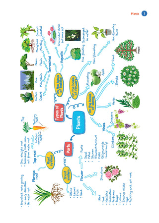 One For All Olympiads Workbook Class 4 Science | Questions for SOF NSO & Other Olympiad Exams 2026 | With Sample Practice Papers & Oswaal.AI