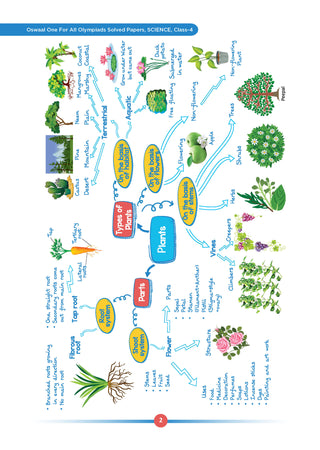 One For All Olympiads Class 4 Science Prep-Guide | Chapter-wise Previous Years' Solved Papers+ Workbook (Set of 2 Books) | Questions for SOF NSO & Other Olympiad Exams 2026