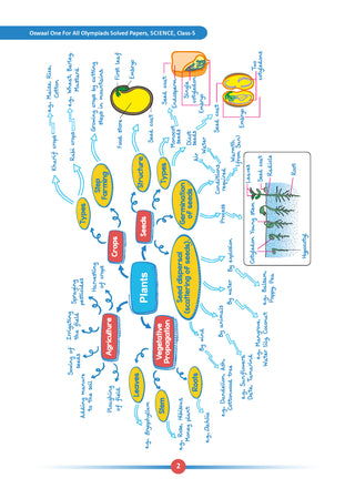 One For All Olympiads Class 5 Science Prep-Guide | Chapter-wise Previous Years' Solved Papers+ Workbook (Set of 2 Books) | Questions for SOF NSO & Other Olympiad Exams 2026