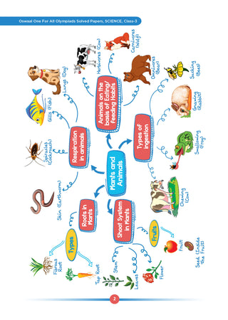 One For All Olympiads Class 3 Science Prep-Guide | Chapter-wise Previous Years' Solved Papers+ Workbook (Set of 2 Books) | Questions for SOF NSO & Other Olympiad Exams 2026