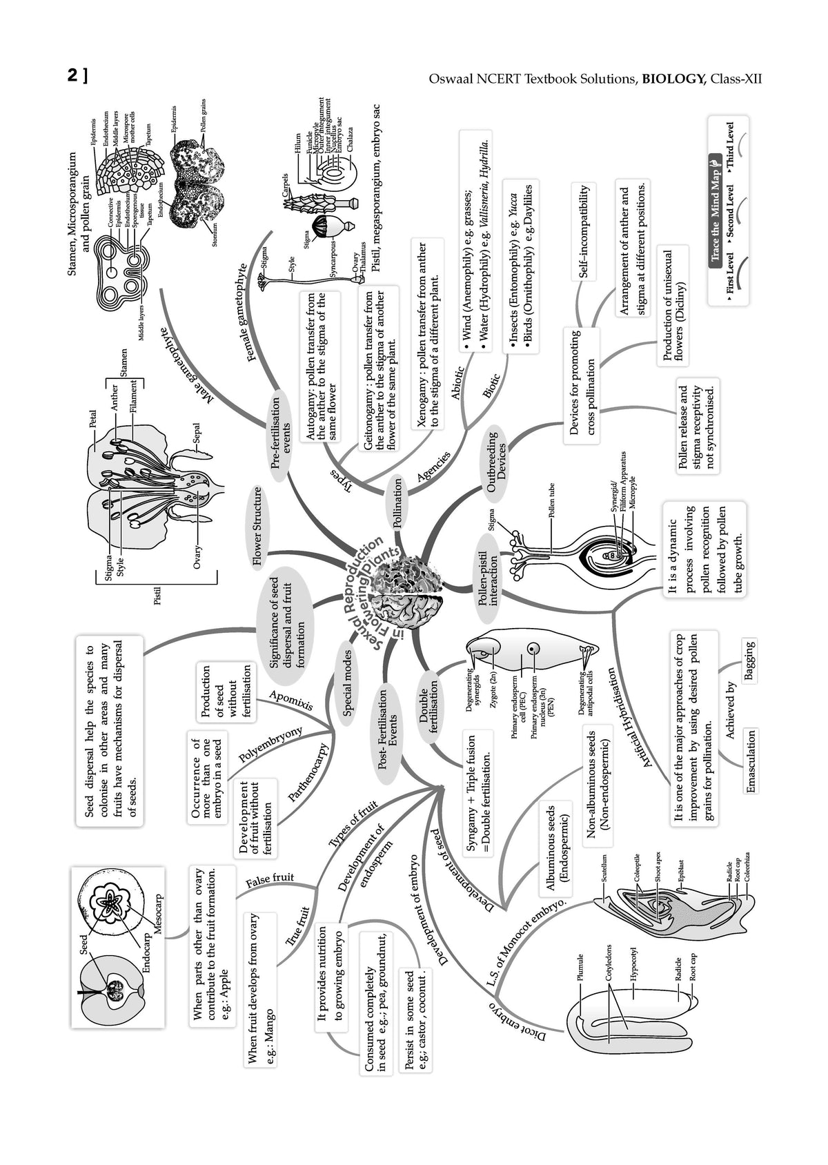 NCERT Textbook Solutions Class 12 Biology | For Latest Exam
