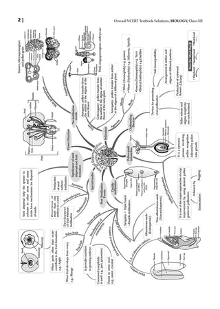 NCERT Textbook Solutions Class 12 Biology | For Latest Exam