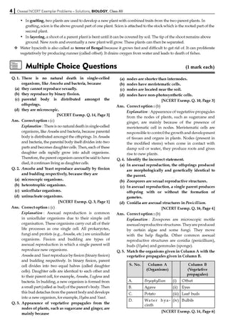 NCERT Exemplar (Problems - Solutions) Class 12 Biology Book For Latest Board Exam