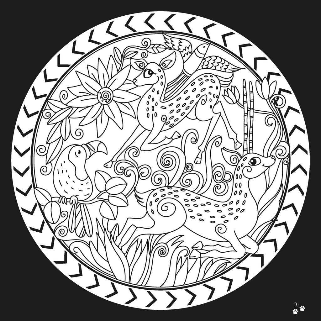 Lil Legends Animals & Nature Colouring Book Combo – 2 Fun Activity ...