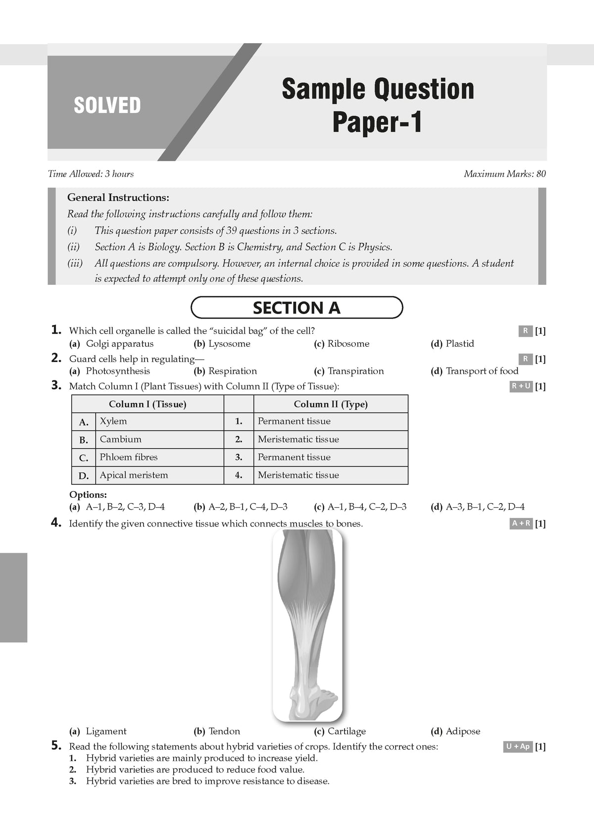 CBSE 10 Sample Question Papers Class 9 Mathematics & Science (Set of 2 Books) for 2026 Exam | Strictly as per Latest Syllabus, Recommended by Topper's Includes Solved Papers & Mind Maps