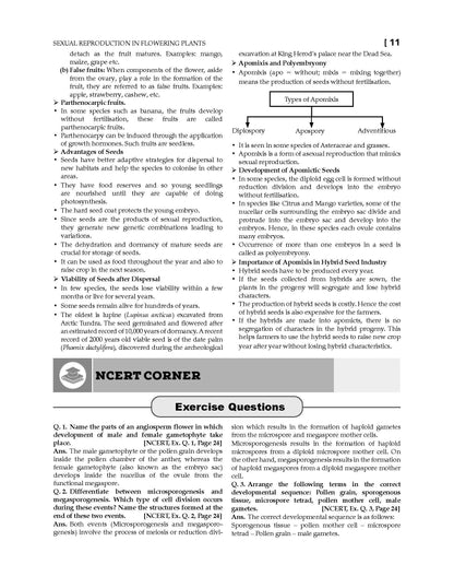 NCERT Biology Textbook and Textbook Solution Supplement for Class 12 | Competency Focused Questions | Concept Clarity | Mind Maps | Mnemonics (Set of 2 Books, For 2026 Exam) - Oswaal Books