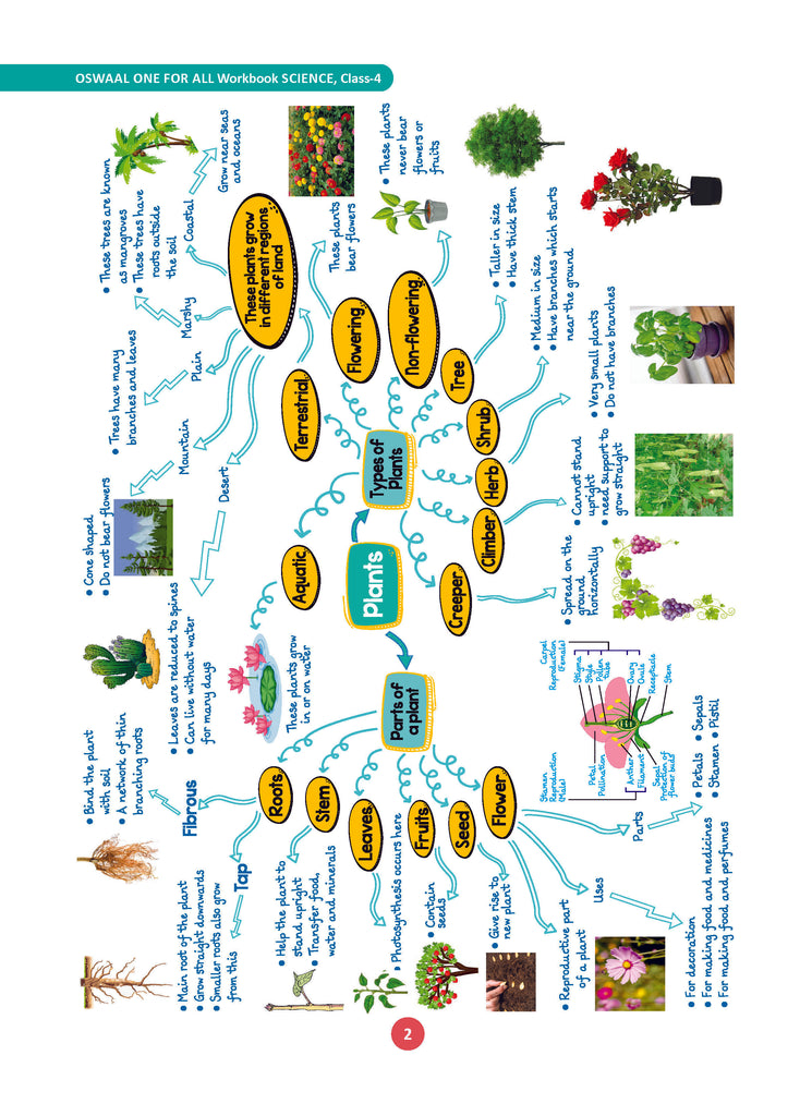 One For All Workbook Concept Wise Class-4 Science (For Latest Exam)