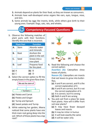 One For All Olympiads Class 3 Science Prep-Guide | Chapter-wise Previous Years' Solved Papers+ Workbook (Set of 2 Books) | Questions for SOF NSO & Other Olympiad Exams 2026