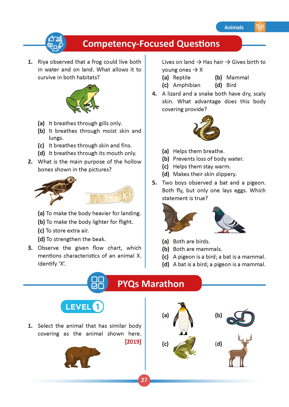 One For All Olympiads Class 5 Science Prep-Guide | Chapter-wise Previous Years' Solved Papers+ Workbook (Set of 2 Books) | Questions for SOF NSO & Other Olympiad Exams 2026