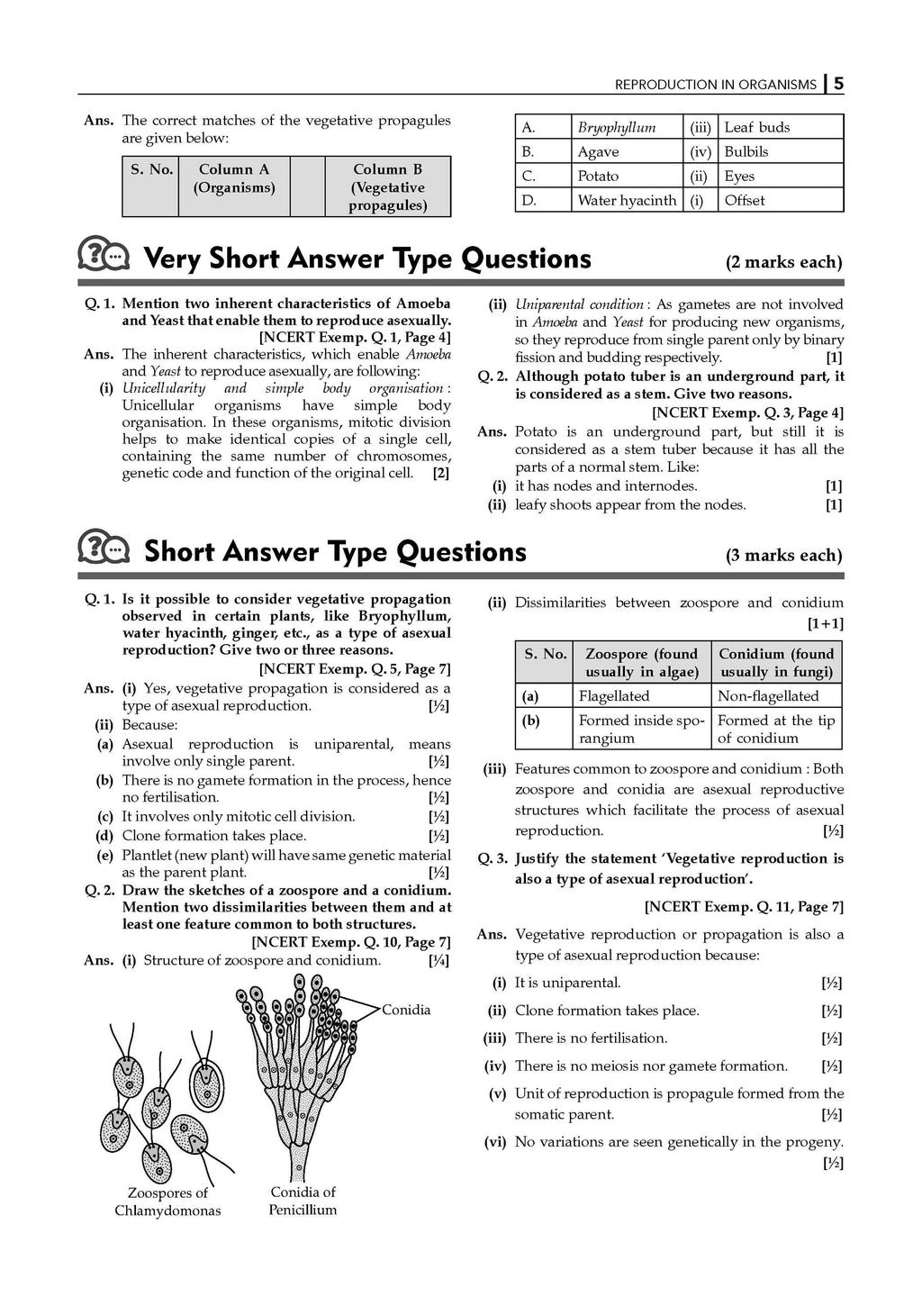 NCERT Exemplar (Problems - Solutions) Class 12 Biology Book For Latest Board Exam