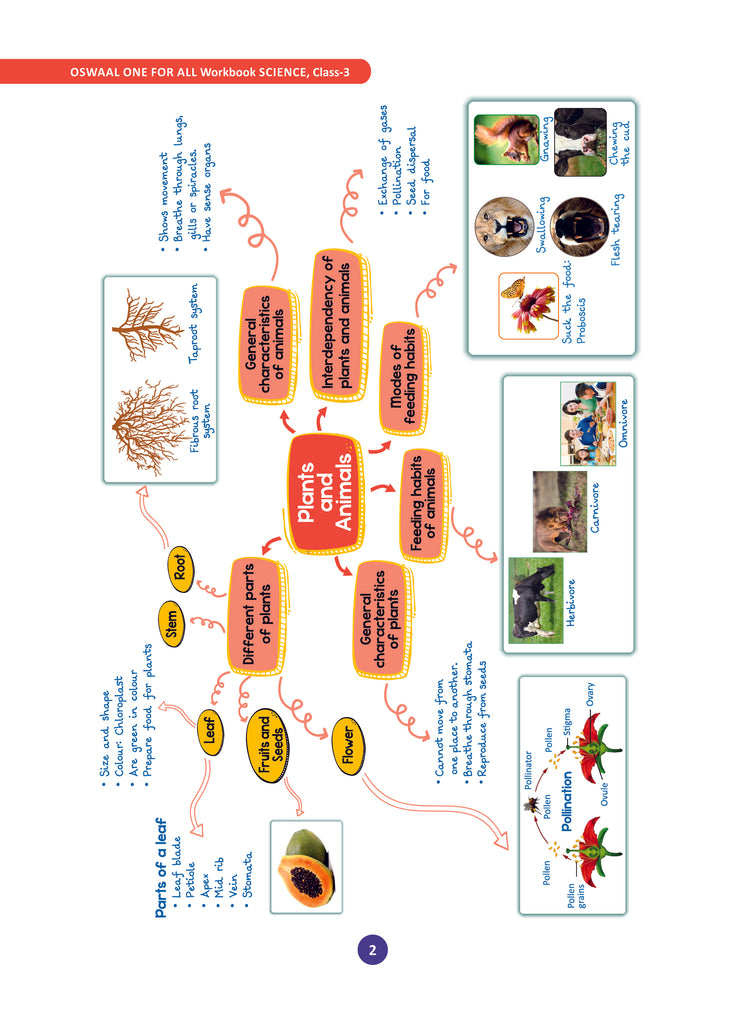 One For All Workbook | Concept Wise Class-3 Science Book | For Latest Exam