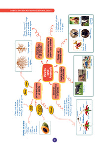 One For All Workbook | Concept Wise Class-3 Science Book | For Latest Exam