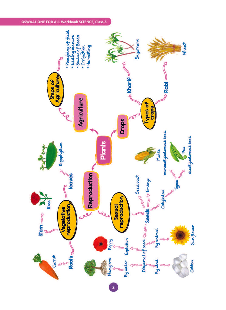 One For All Workbook | Concept Wise Class-5 Science Book | For Latest Exam