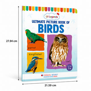 Lil Legends Picture Book for Kids Age 1+ Years - Learn About Birds | Early Learning Illustrated Book with Colourful Pictures | First Words Book for Toddlers & Preschoolers