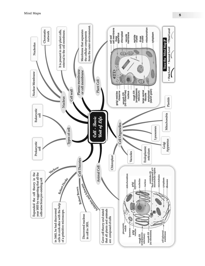 CBSE Sample Question Papers Class 9 Science Book (For 2025 Exam) Oswaal Books and Learning Private Limited