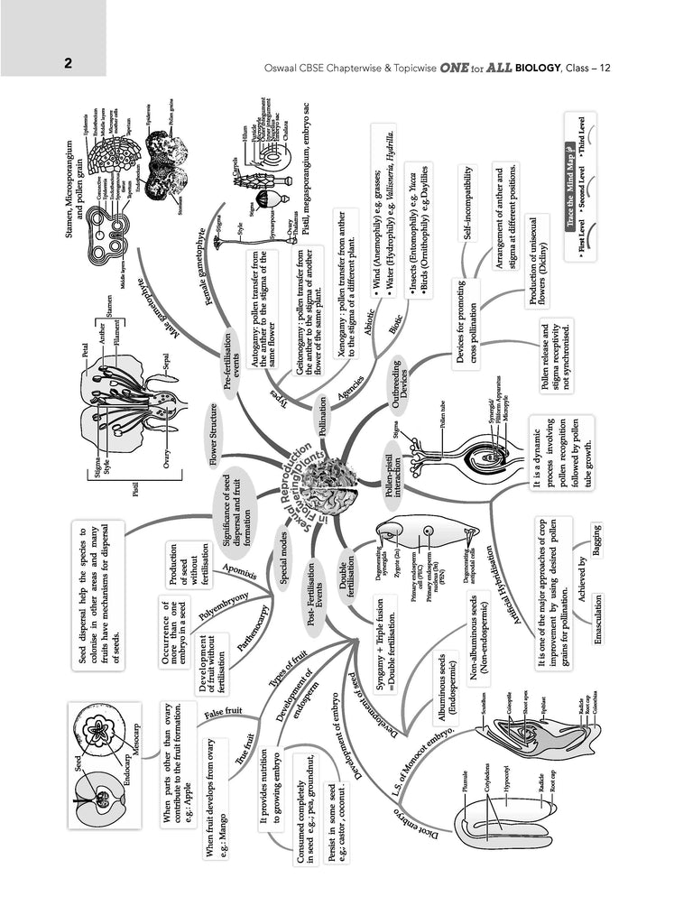 CBSE & NCERT One for All | Class 12 Biology For 2025 Board Exam Oswaal Books and Learning Private Limited