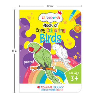 Lil Legends Books of Copy Colouring Set of 5 Books for Kids | Transport, Shapes, Numbers, Clothes and Birds | Fun Activities and Vocabulary Booster | For LKG/UKG | Age 3+
