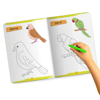 Lil Legends Books of Copy Colouring Set of 5 Books for Kids | Transport, Shapes, Numbers, Clothes and Birds | Fun Activities and Vocabulary Booster | For LKG/UKG | Age 3+