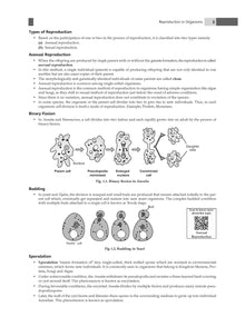 ISC Question Bank Chapter-wise Topic-wise Class 12 (Set of 5 Books) Physics, Chemistry, Biology, English Paper-1 & 2  For 2025 Board Exams Oswaal Books and Learning Private Limited