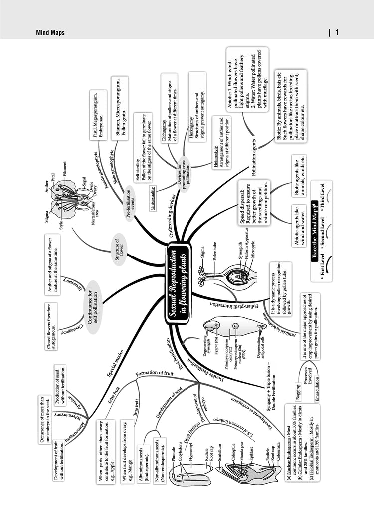 ISC | 10 Sample Question Papers | Class 12 | Biology (For 2025 Exam) Oswaal Books and Learning Private Limited